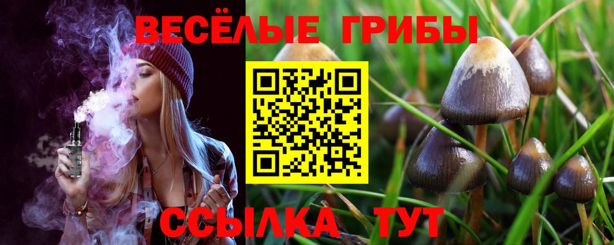 Медногорск  купить наркотики сайты  Вход с VPN  Галлюциногенные грибы мухоморы 